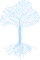 Data Architecture for Operational Systems